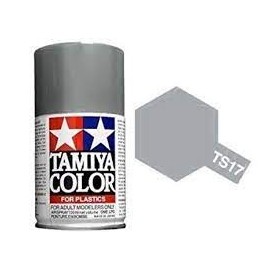 TAMIYA - TS17 - Silver