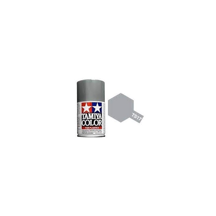 TAMIYA - TS17 - Silver