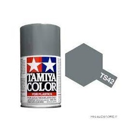 TAMIYA - TS42 - Light Gun Metal