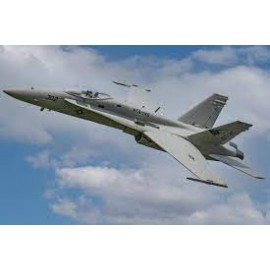 Freewing - F/A-18C Hornet...