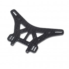 Team Losi - Carbon Rear...