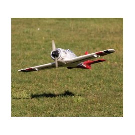 Multiplex - Aeromodello...