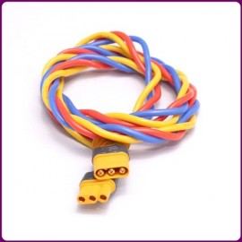 Xicoy - Extension...