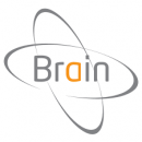 Brain